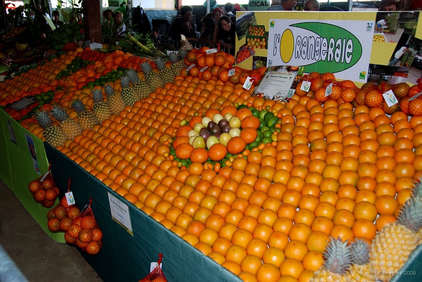 14- Exposition d'oranges.JPG